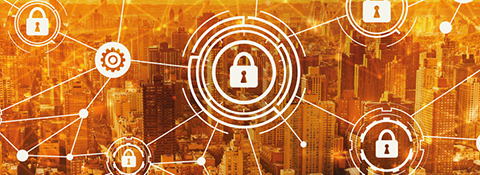 International Cyber